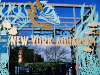 NY Aquarium Wild Life Cincervation Area: Cute and Fashion