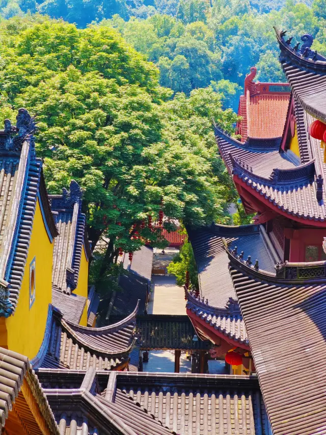 杭州丨去靈隱寺和法喜寺一定要收下這份攻略