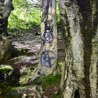 Belfast cool and breezy Cavehill
