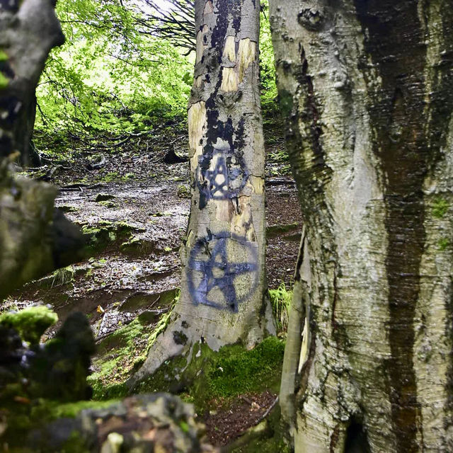 Belfast cool and breezy Cavehill