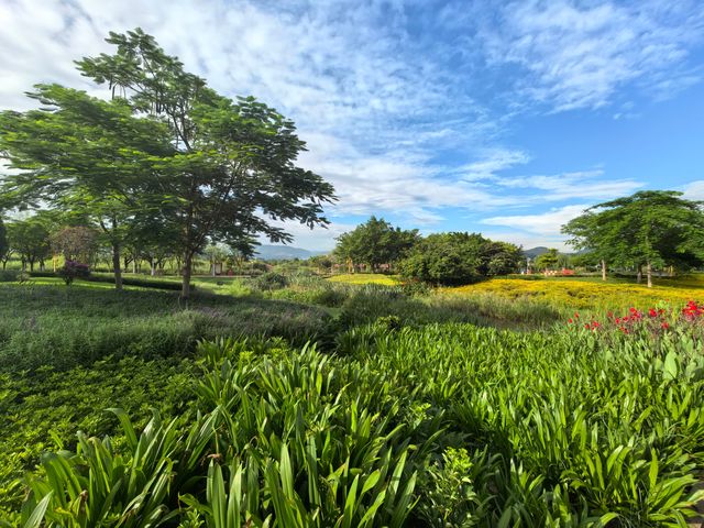 開遠鳳凰濕地公園