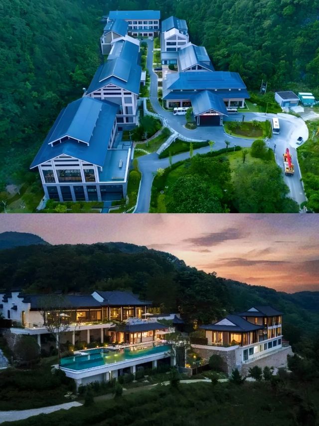 廣西百色 ｜住進了森林裡