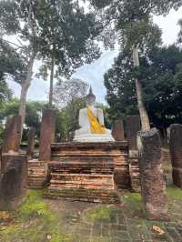 隐藏在泰北的世遗小城|甘烹碧|—大象寺