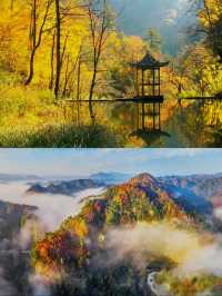 黎坪美景