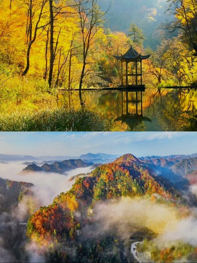 黎坪美景