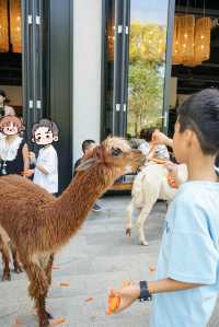 重慶周邊1h避暑|去西湖旁的動物莊園遛娃