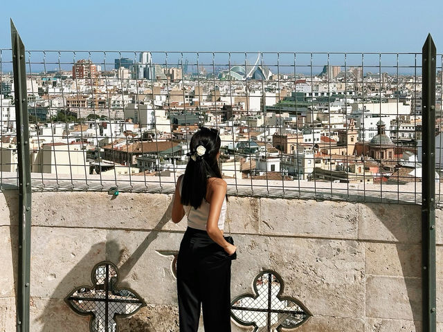 A Panoramic Feast for the Eyes 🤩