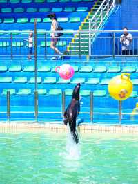 西安秦嶺野生動物園。