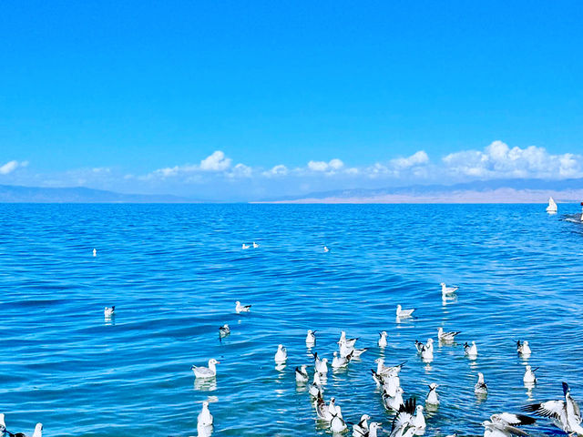 青海湖｜美麗神秘的夢中清湖。
