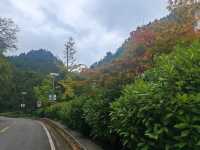 西安周邊遊｜商洛秦嶺江山景區。