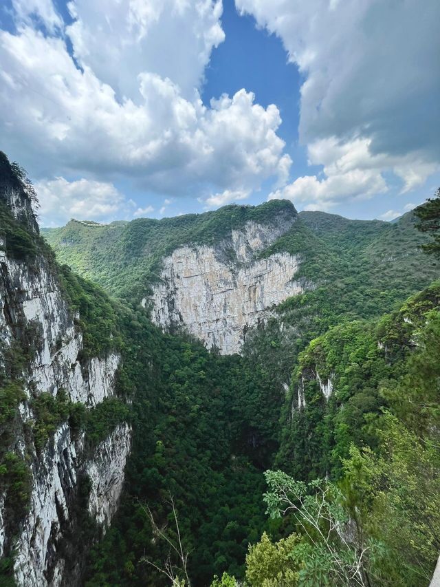 廣西百色|大石圍天坑群•這曠野山河。
