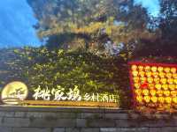 江浙滙新親子遊樂點-桃花坞。