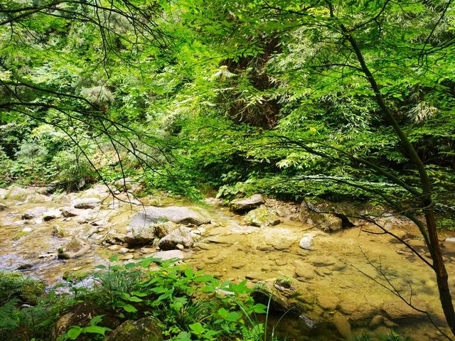 白石河谷。