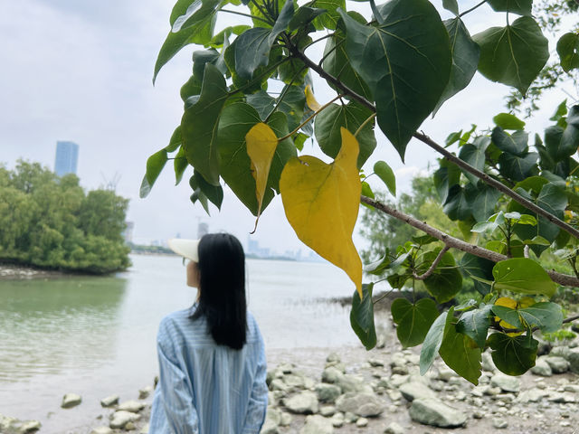深圳灣公園⛲️怎么玩❓—-超詳細攻略奉上📜
