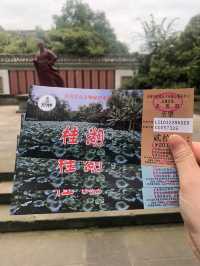 新都桂湖||桂花飄香秋意濃。