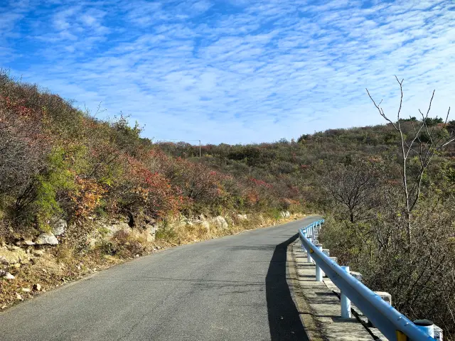 Mùa thu đã đến ở Kim Gia Lăng.