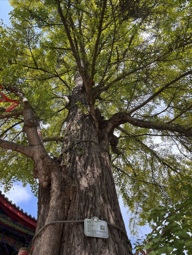 雲頂山慈雲寺。