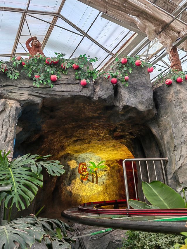 南宮五洲植物園——秋季親子遊好去處。