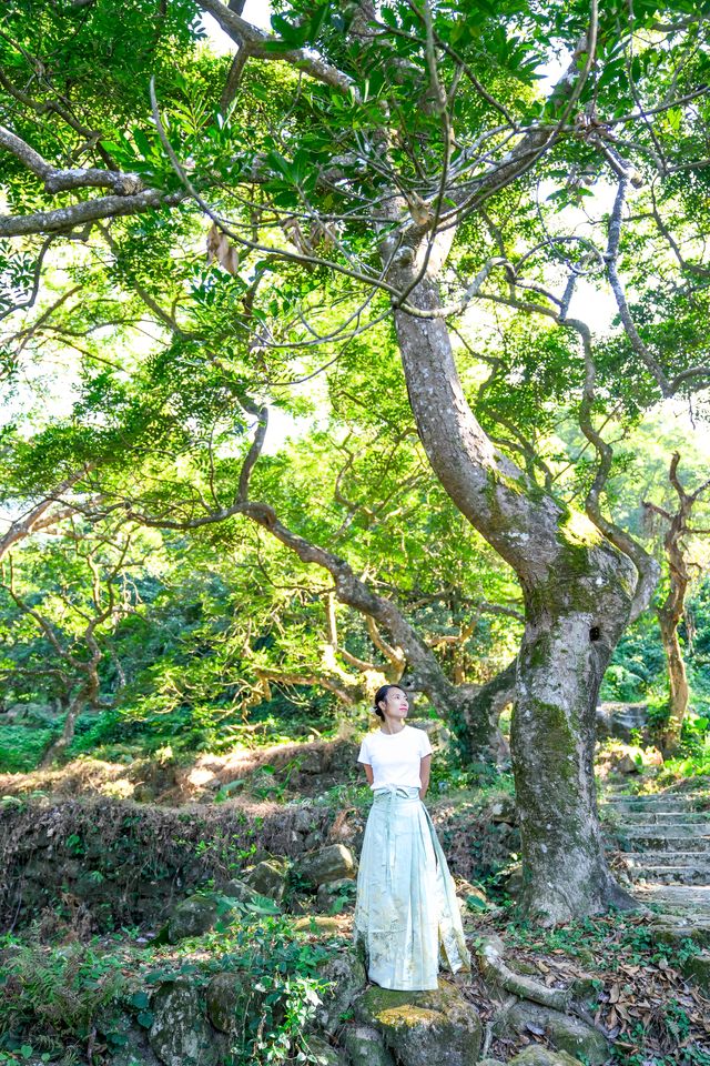 廣州1h直達丨現實版的「阿凡達」神秘仙境！。