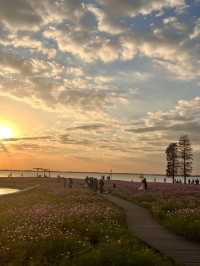上海自駕1小時小眾旅遊地|定山湖大花海。