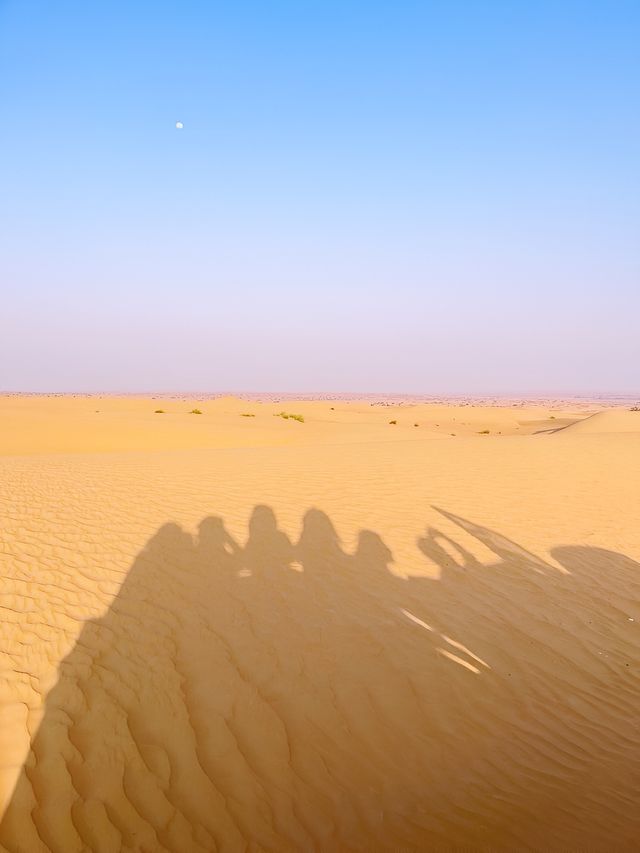 迪拜沙漠——滑沙帳篷熱氣球之旅。