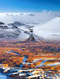 滑雪新手變身冰雪奇緣女主角的奇幻之旅。