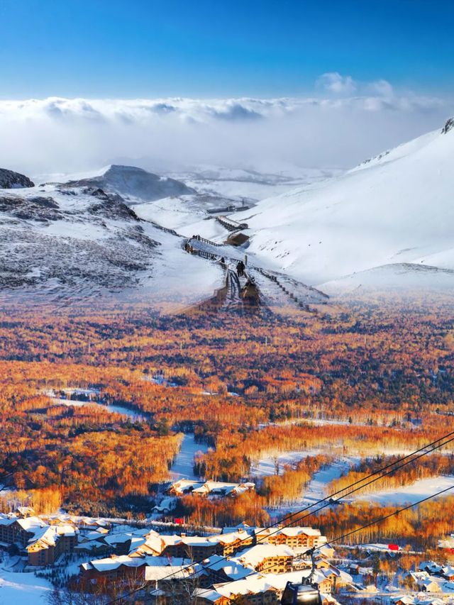 滑雪新手變身冰雪奇緣女主角的奇幻之旅。