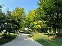 芝加哥俄亥俄街海灘：湖濱時光的完美詮釋。