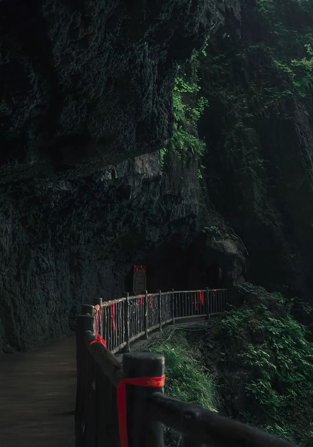 探索秦嶺秘境，感受道教文化魅力。