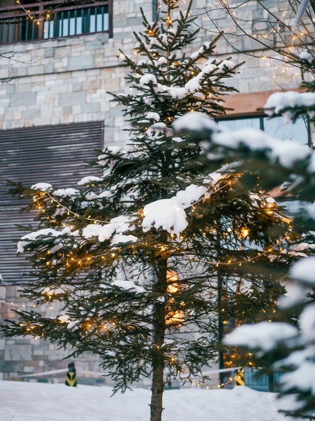 長白山｜冰天雪地中的熱湯狂歡