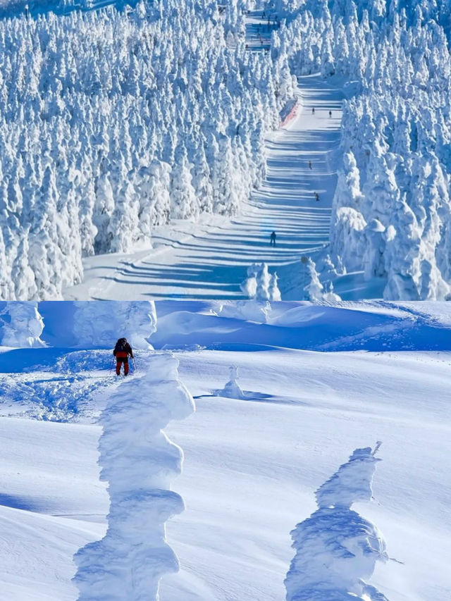 翠華山滑雪場暢滑不止,心跳加速! 翠華山滑雪場暢滑不止,心跳加速!