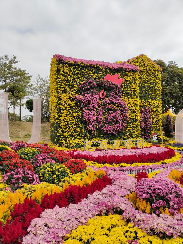2024年小欖菊花會，賞菊品菊正當時