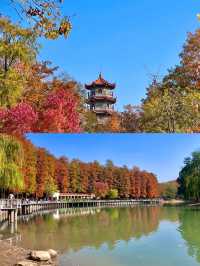 武漢現狀⋯⋯這座公園已經美出 next level