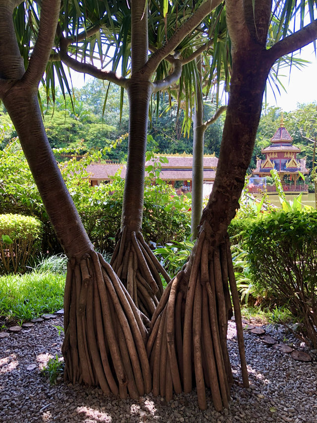 西雙版納總佛寺