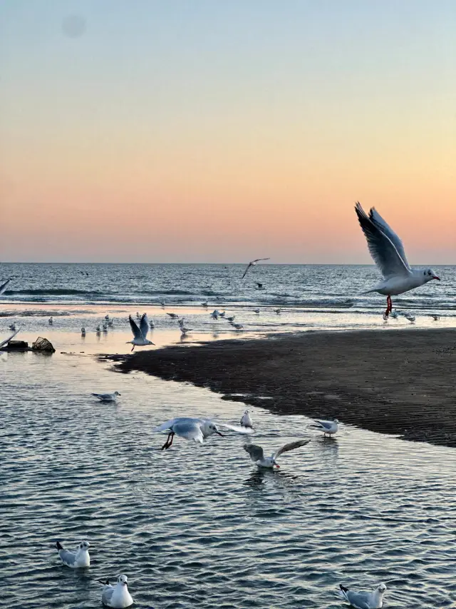 Winter in Qinhuangdao: 2-Day Itinerary