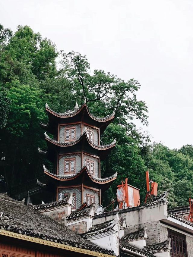 元旦鳳凰2日遊 玩得盡興不虛此行