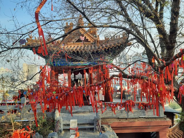 戲馬台