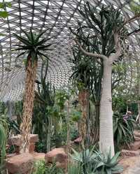 辰山植物園,邂逅自然之美