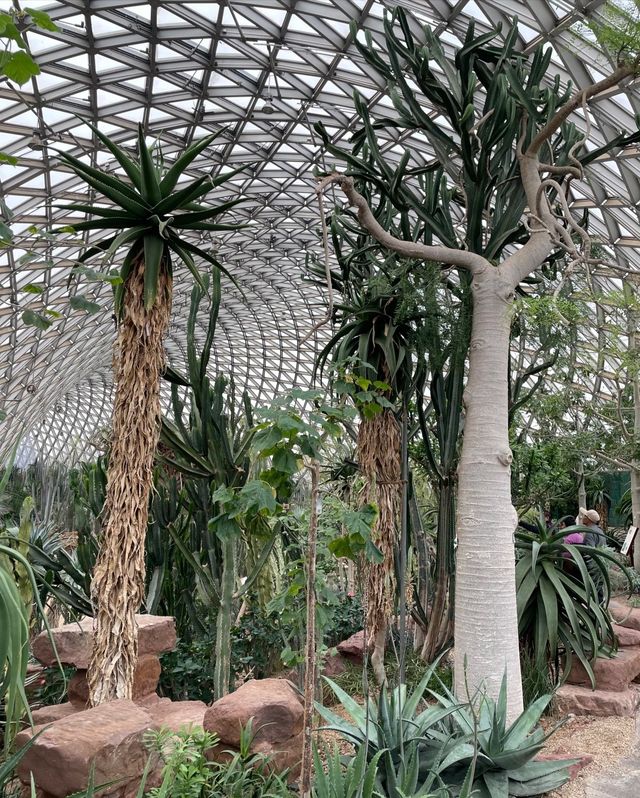 辰山植物園,邂逅自然之美 辰山植物園,邂逅自然之美