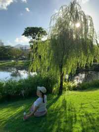 深圳四海公園的美景讓人流連忘返！