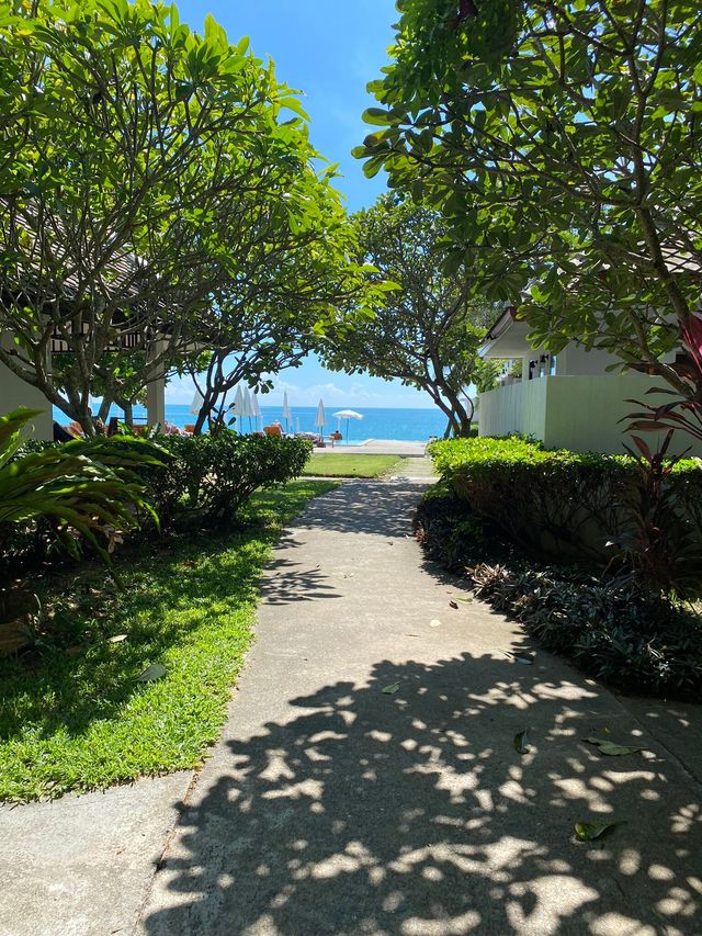 蘇梅島 | 蜂巢酒店的溫馨體驗