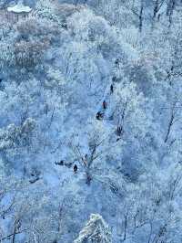 西安出發40分鐘 | 秦嶺冬日雪國秘境登高賞雪