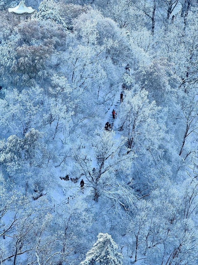 西安出發40分鐘 | 秦嶺冬日雪國秘境登高賞雪