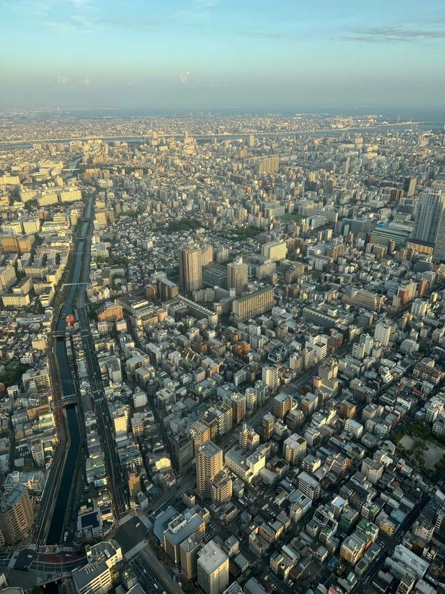 老友日本5日遊 輕鬆暢遊不迷路