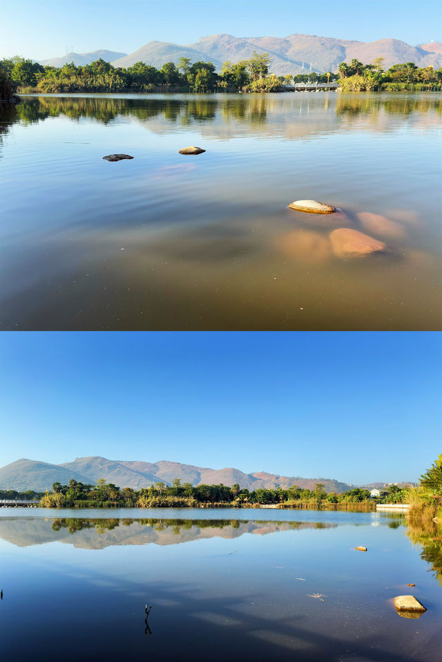 元謀鳳凰湖公園