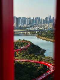 #深圳市虹橋公園之美
