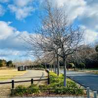 打卡日本大阪阪南里海公園