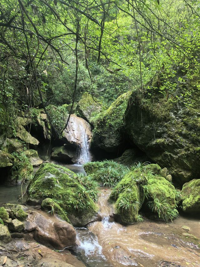 清明假期，西安周邊2日遊