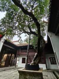屈子文化園