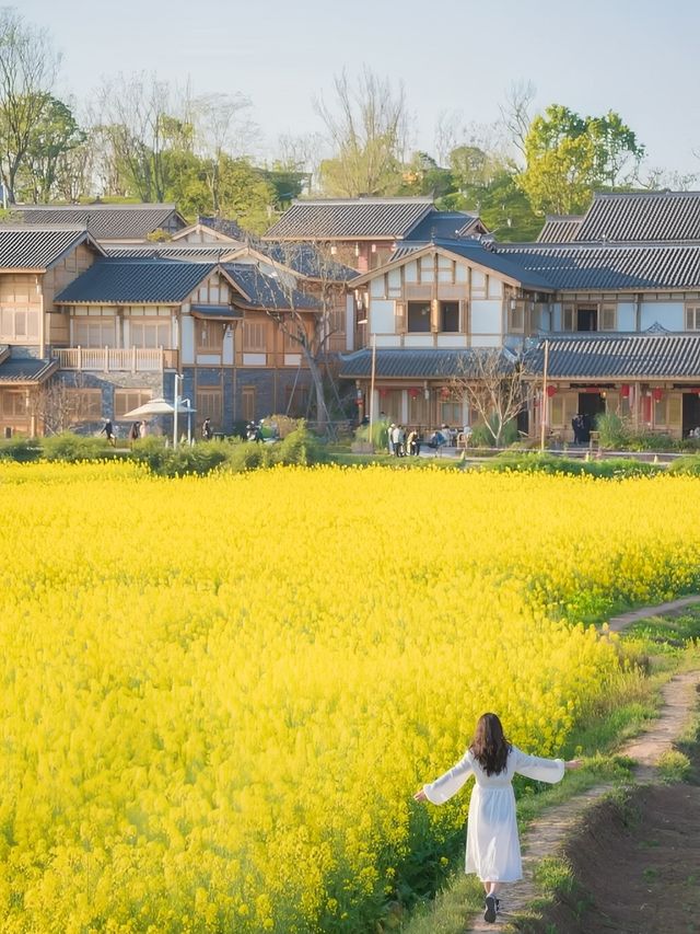 成都油菜花海的春日之旅：13個絕美打卡地點推薦